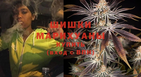 mix Гусиноозёрск