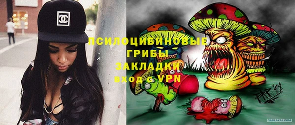 mix Гусиноозёрск