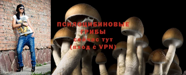 кокаин Гусь-Хрустальный