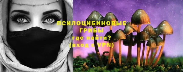 кокаин Гусь-Хрустальный
